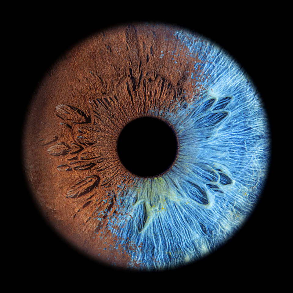 Entertainment van The Eye Catcher impressie 3