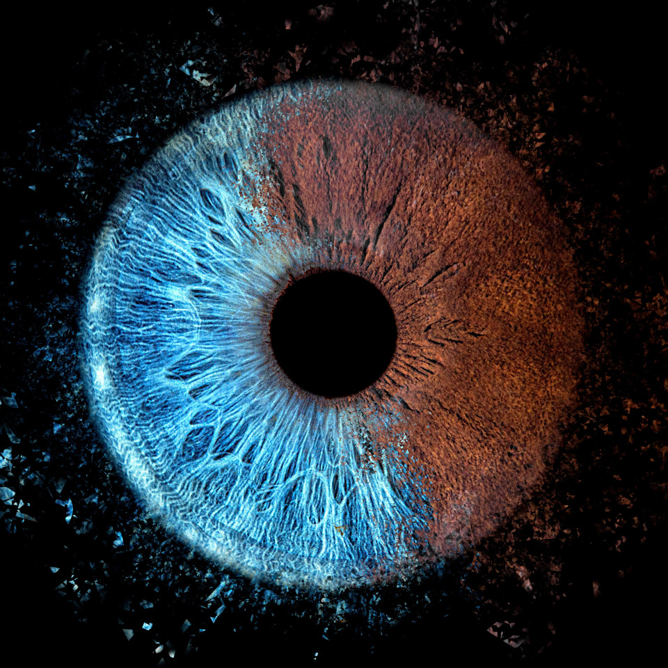 Entertainment van The Eye Catcher details