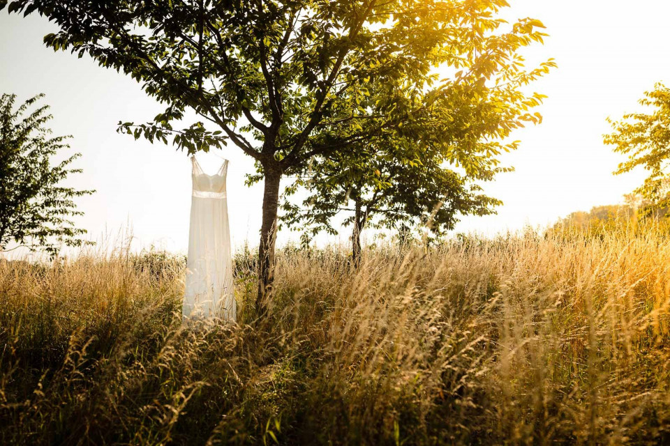 een trouwjurk staat in een veld met hoog gras