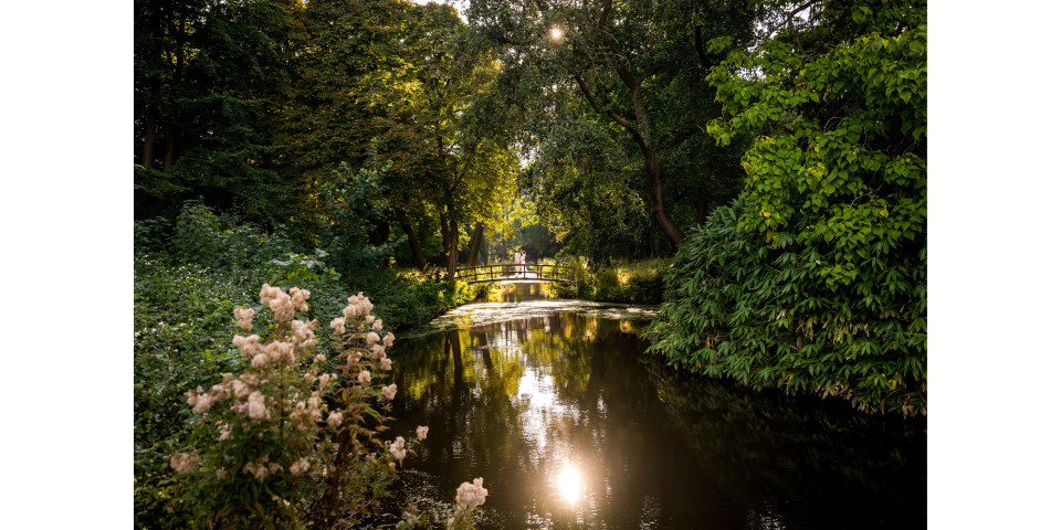 de zon die door de bomen boven het water schijnt en een brug in het midden van het park met bloemen op de voorgrond