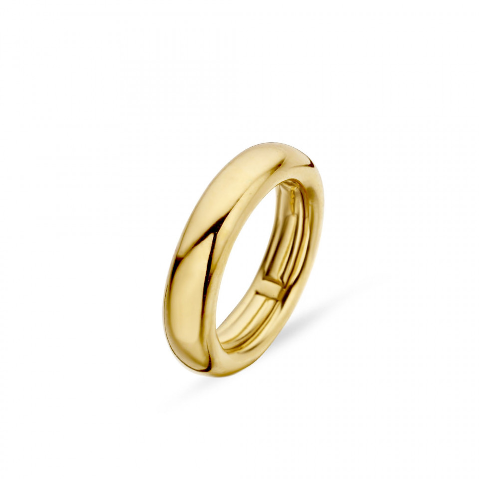 een gouden ring met een kleine ovale vorm