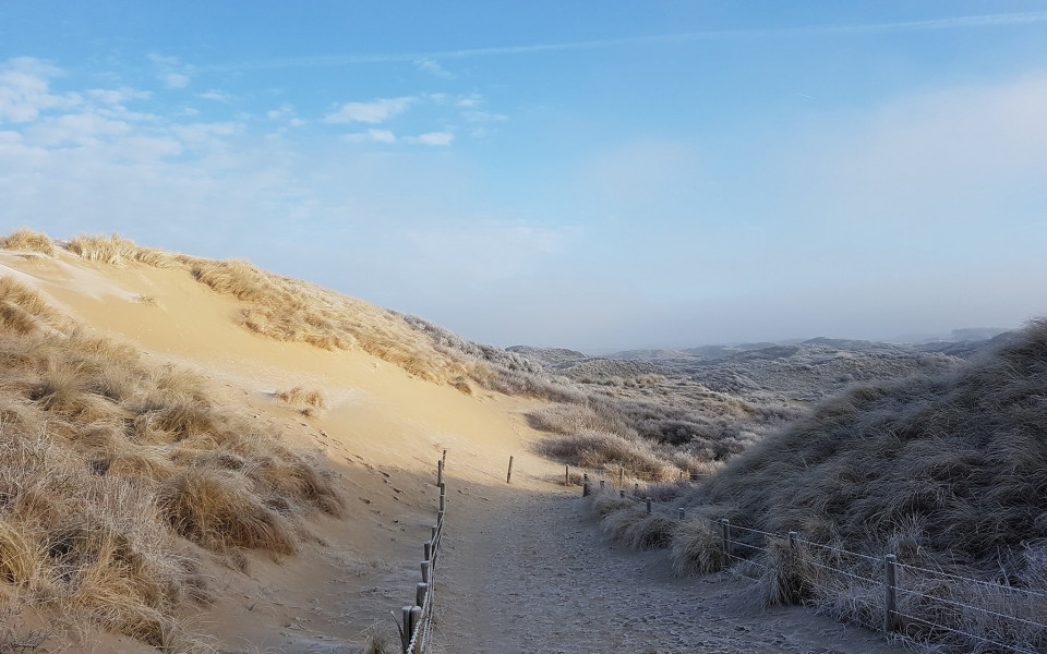 Trouwlocatie Restaurant Gestrand impressie 2