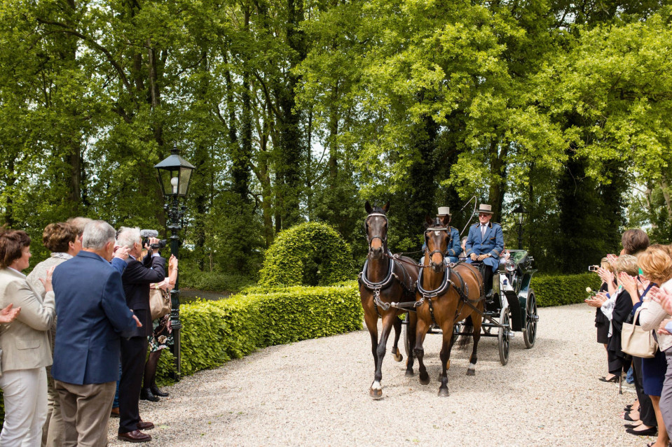 een paar paarden die een koets trekken