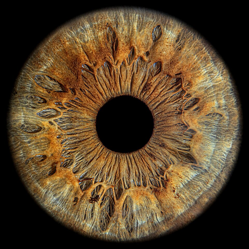 Entertainment van 4rtipical impressie 4