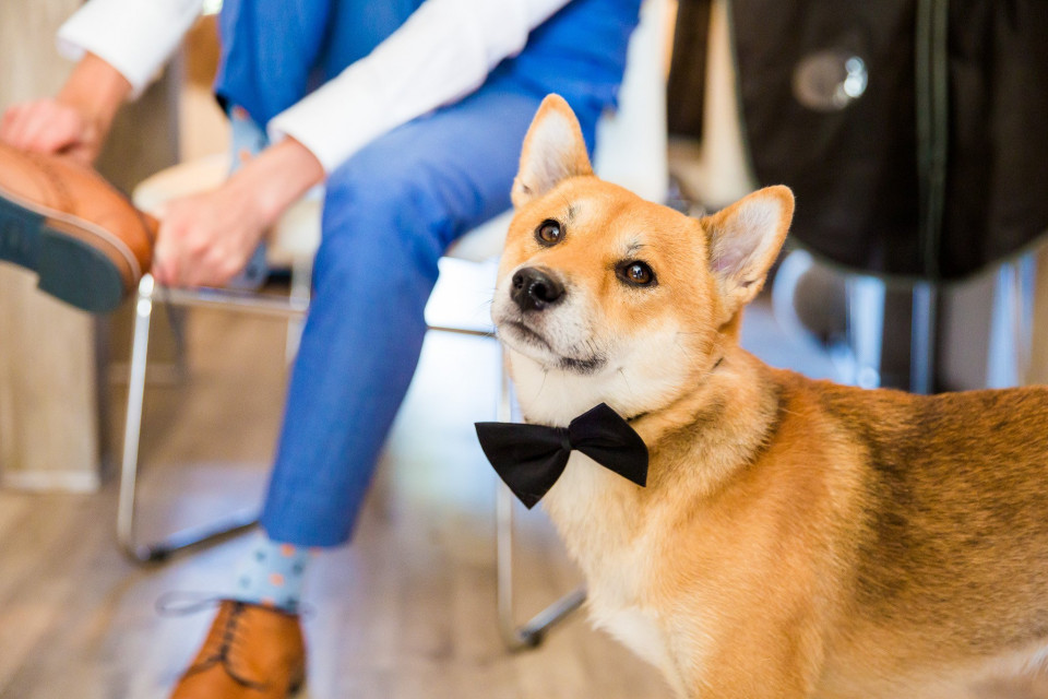 Trouwfotograaf Wedding Crashers impressie 