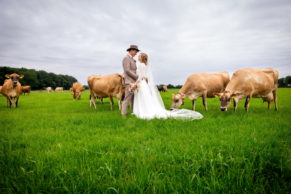 Ilse van Harten fotografie