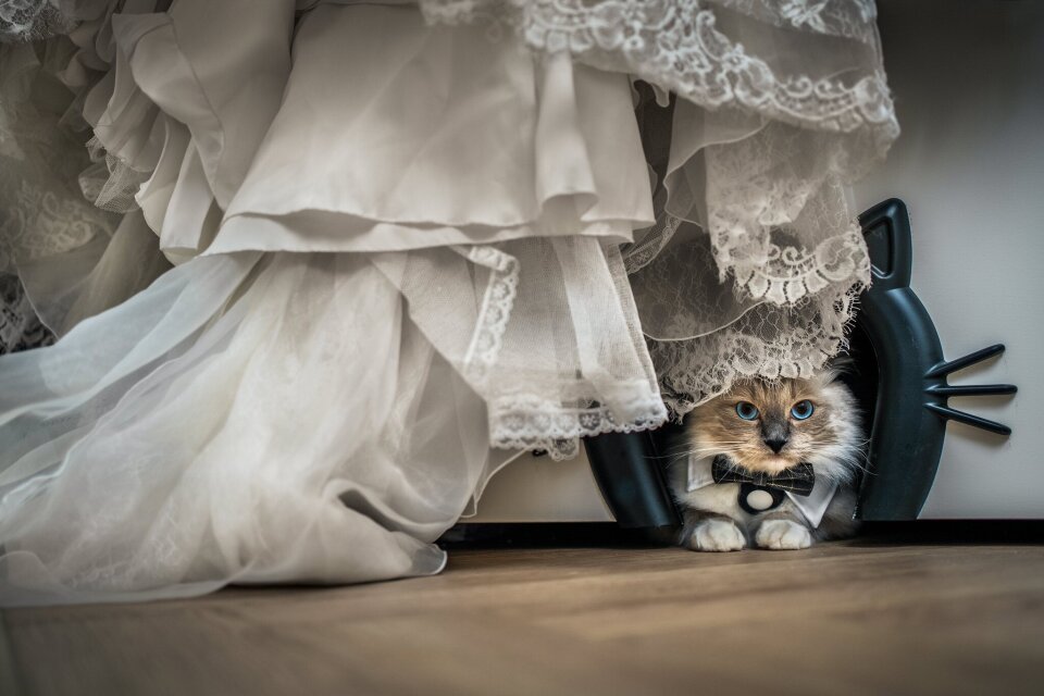 Trouwfotograaf Marnix de Stigter Bruidsfotograaf impressie 4