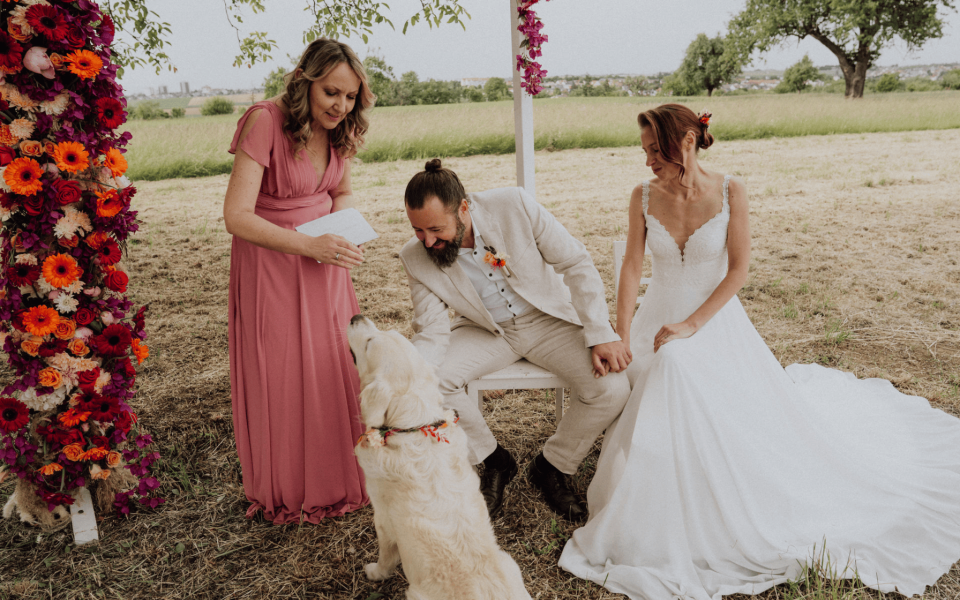 Weddingplanner feel white - Hochzeitsplanung und Events overzicht
