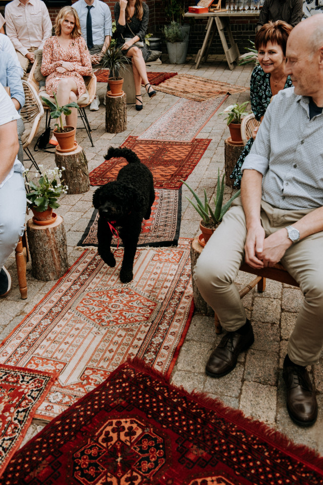 hond op ceremonie om de ringen te brengen