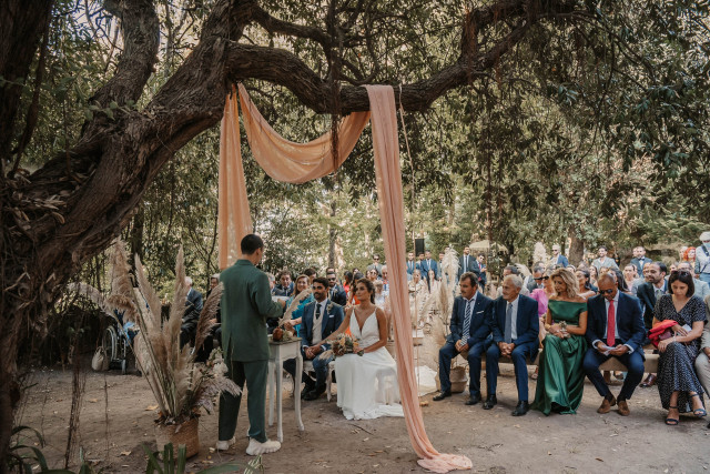 un matrimonio nella foresta