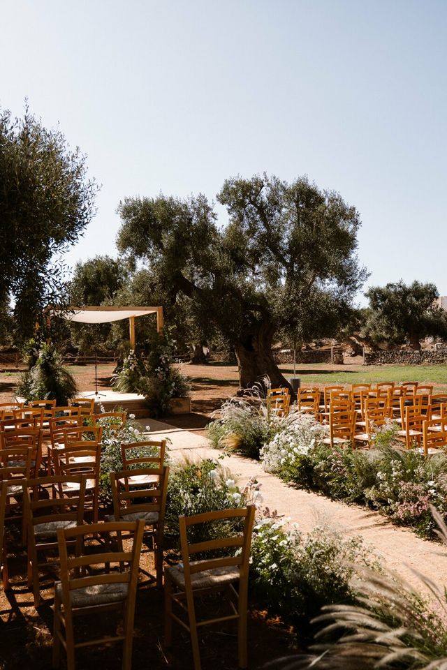An outdoor ceremony set among old olive trees with wooden chairs for guests.