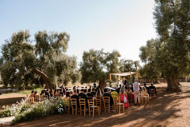 Guests at a long table for an outdoor wedding dinner among olive trees under a blue sky.
