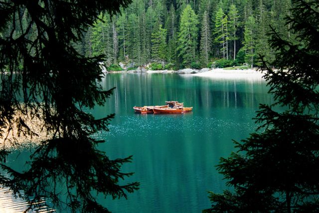 Bootsfahrt auf einem See im Wald