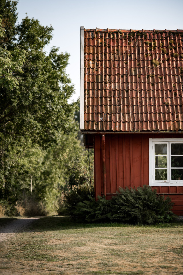 Rotes Haus in schwedischem Stil vor einem Wald und einer Wiese