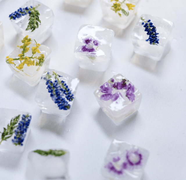 Eiwswürfel mit Blumen drin