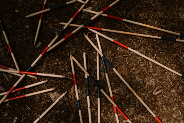 Mikado auf Waldboden