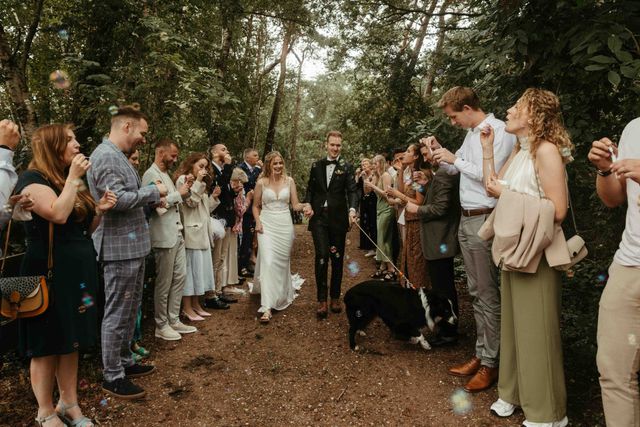 Newlyweds walk hand in hand through a tunnel of applauding guests on a forest path as their dog joyfully joins the celebration.