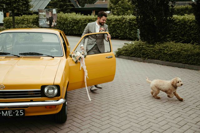 A groom stands beside a decorated vintage car as a small curly dog runs past on a cobblestone driveway.