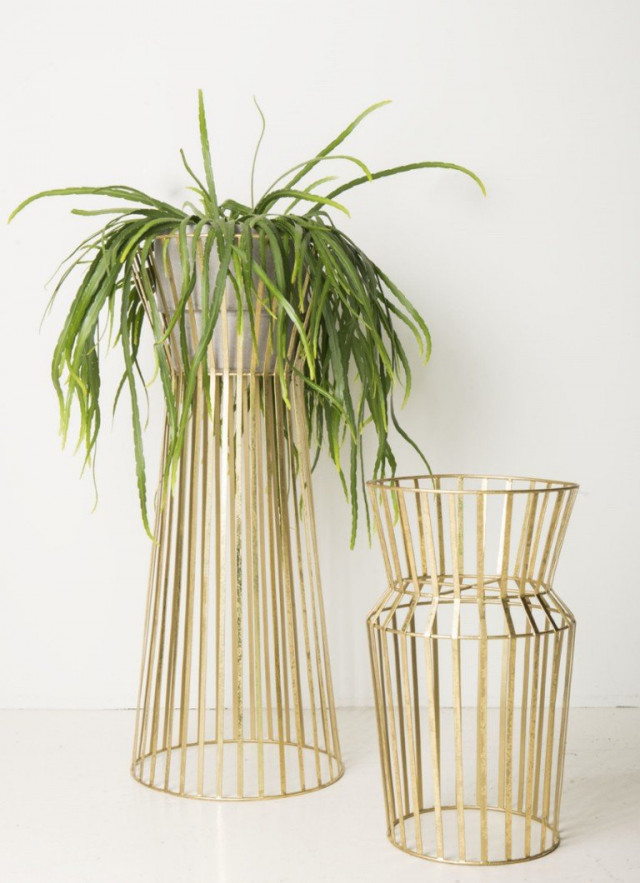 plant als cadeau voor getuige