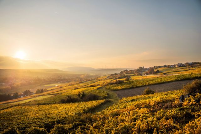 Landschaft in Pfalz
