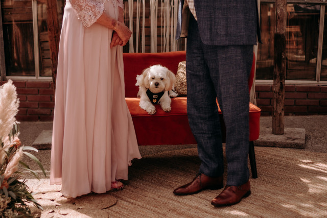 hond bij trouwceremonie
