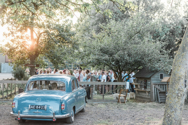 Bruiloft met blauwe oldtimer trouwauto
