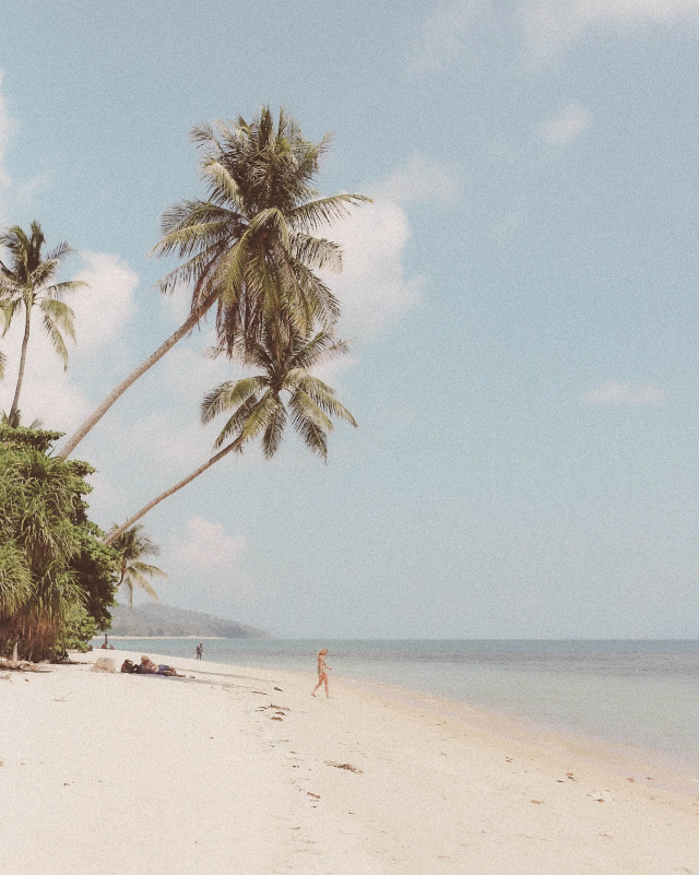 Strand mit Palmen und klarem Wasser
