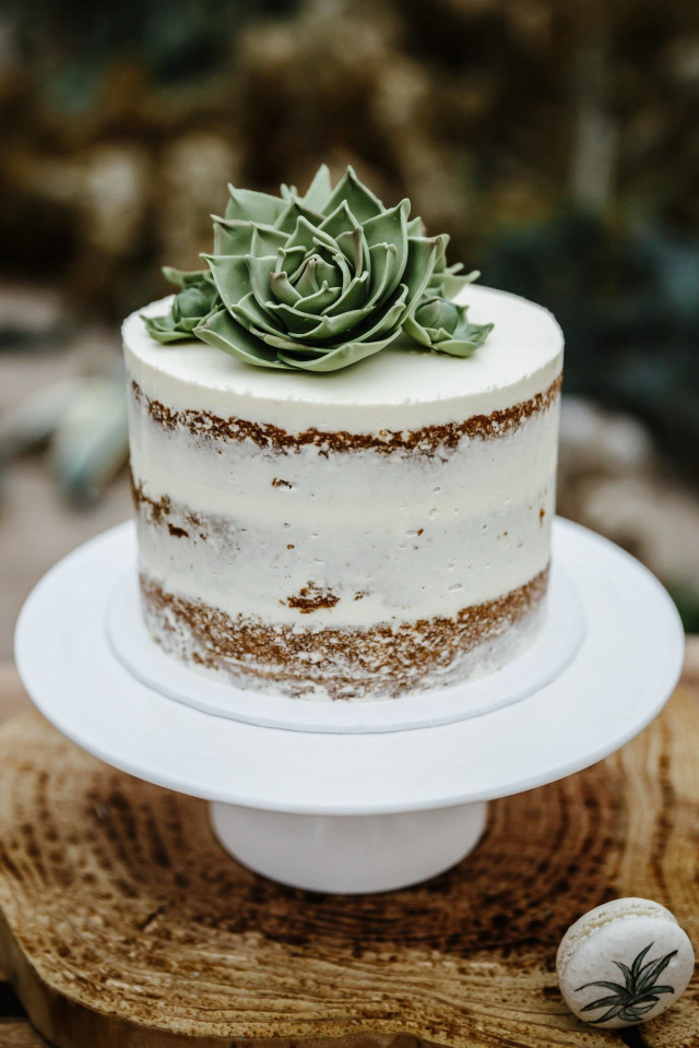 Einstöckige Hochzeitstorte mit Kaktustopper