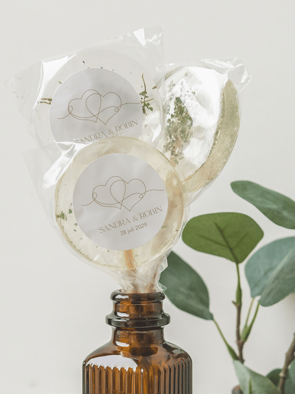 een paar lolly's in een fles met een sticker erop en een plant op de achtergrond