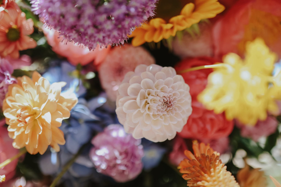 een close-up van een bos kleurrijke bloemen