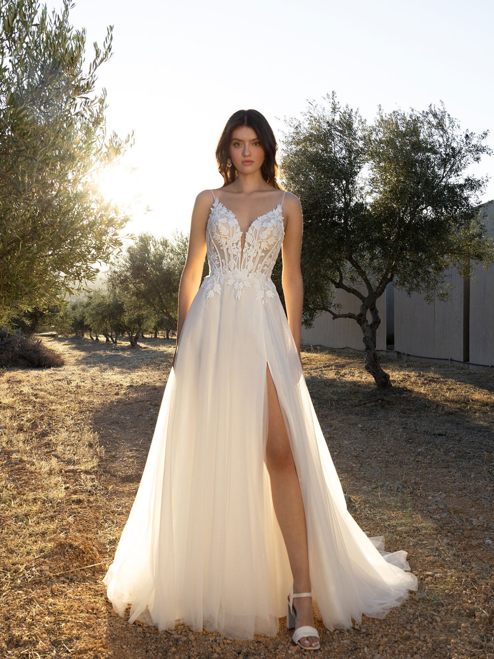L1177 - Oreasposa Collection
