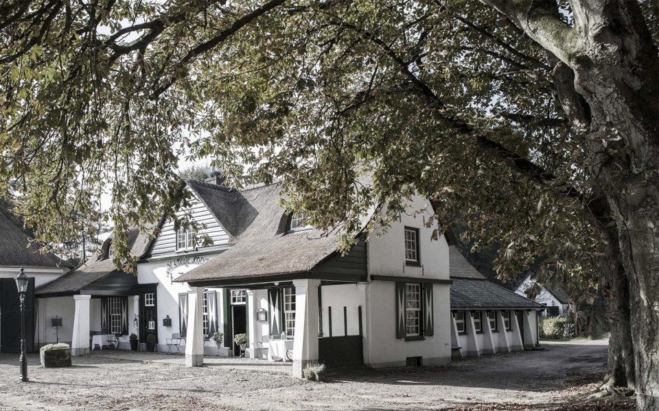 een wit huis met een grote boom op de achtergrond