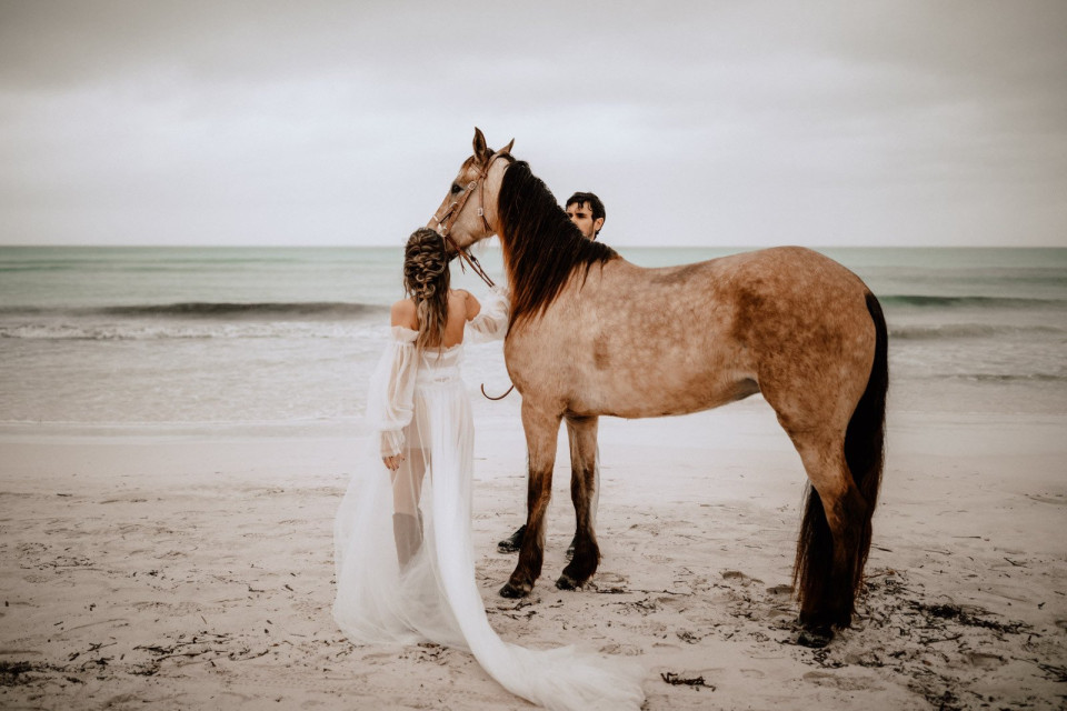 Cora.Graphy
