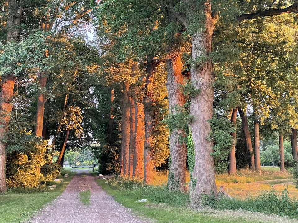 Trouwlocatie Landgoed Bekspring details