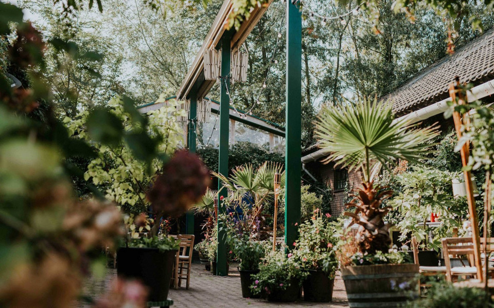 een tuin met veel planten en bomen
