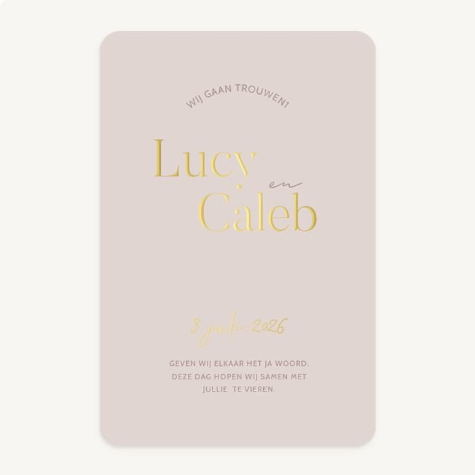 moderne trouwuitnodigingen - blush - paperless post