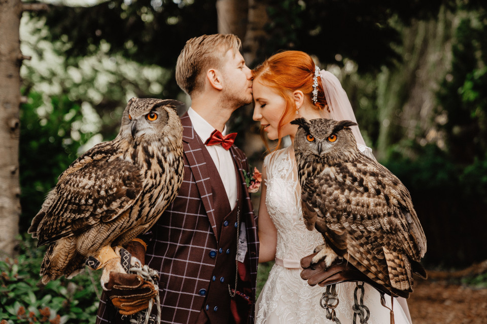 bruidspaar met uil