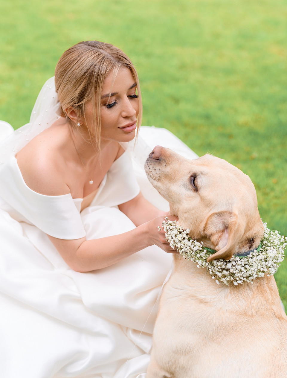 With Love, Angela Hochzeit Hundesitterin
