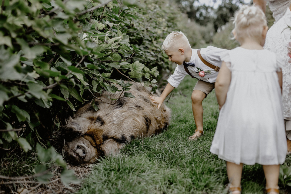 een jongetje en een meisje aaien een varken