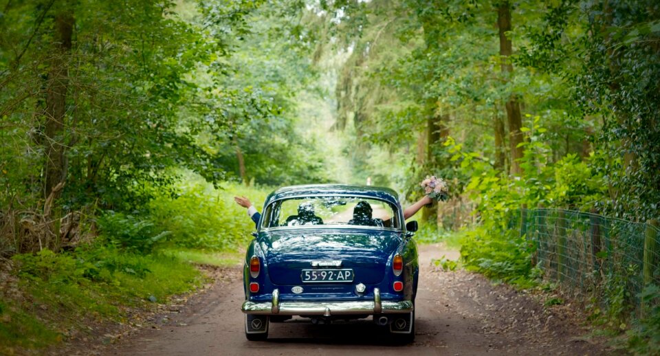 Videograaf Jeroen Strijker Films overzicht