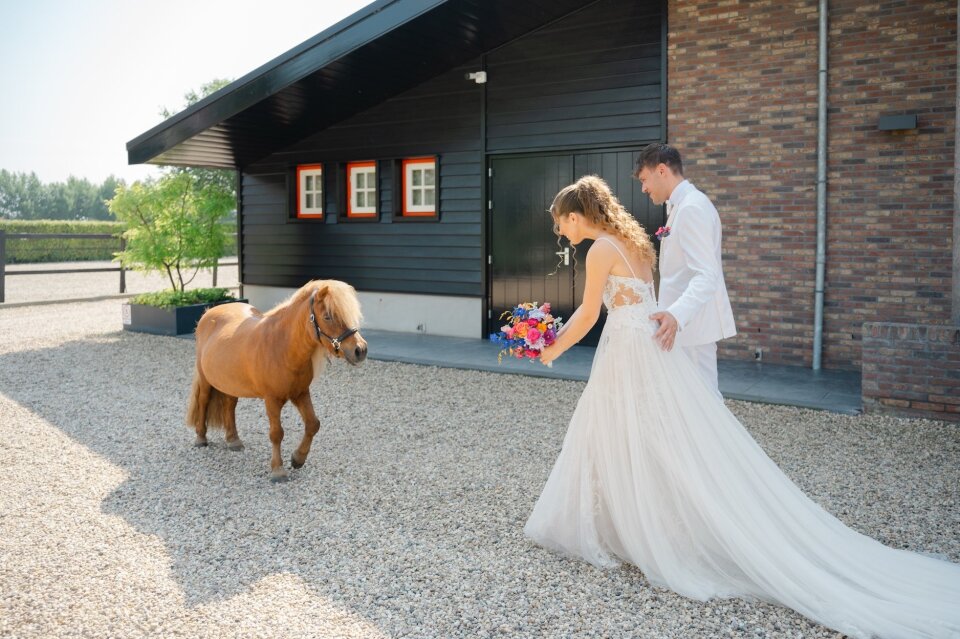 Trouwfotograaf Marlies Wynolts Photography details