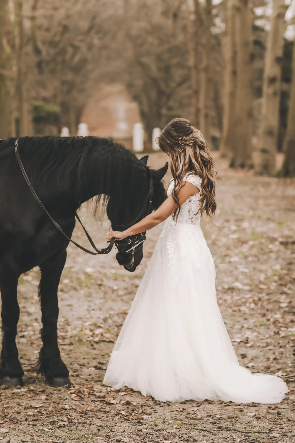 Hochzeitskutsche