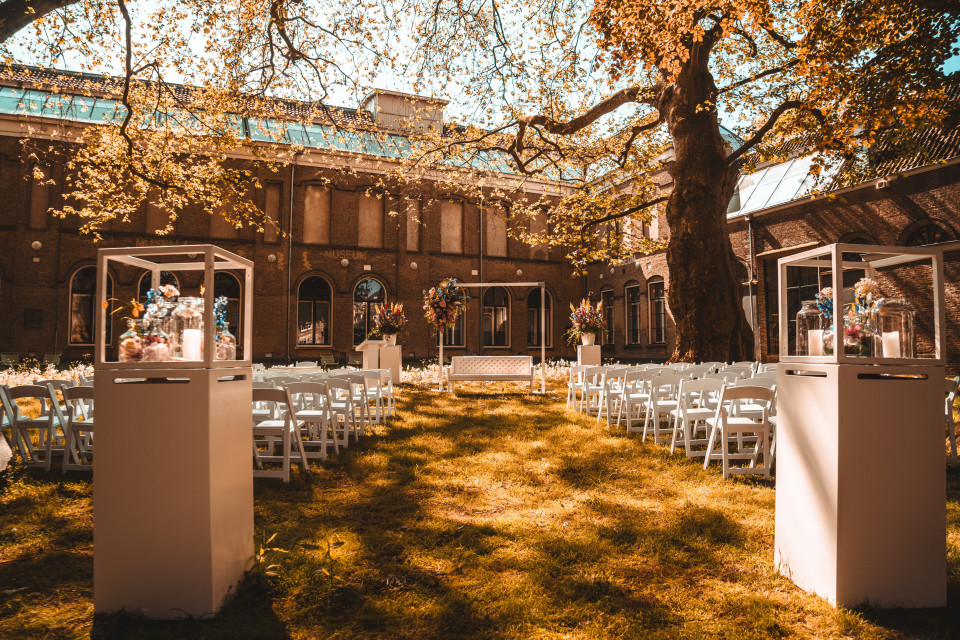 Art &amp; Dining