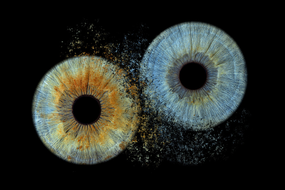 Entertainment boeken bij The Eye Catcher