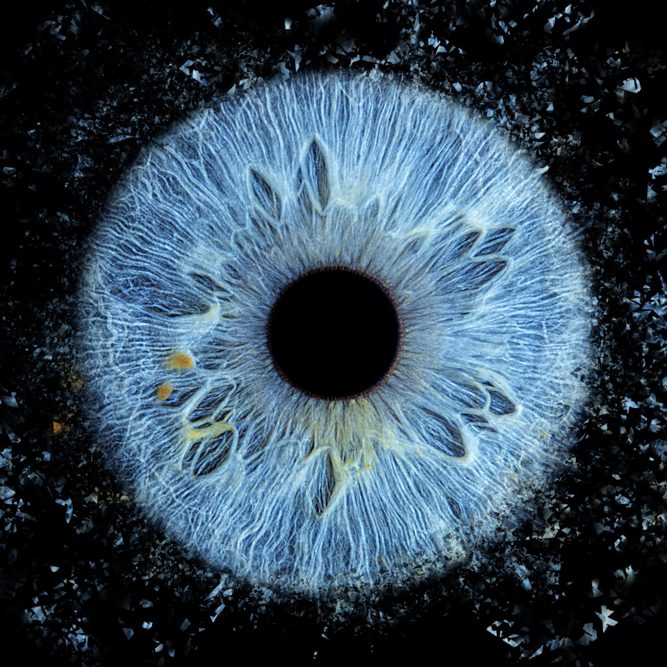 Entertainment van The Eye Catcher impressie 4