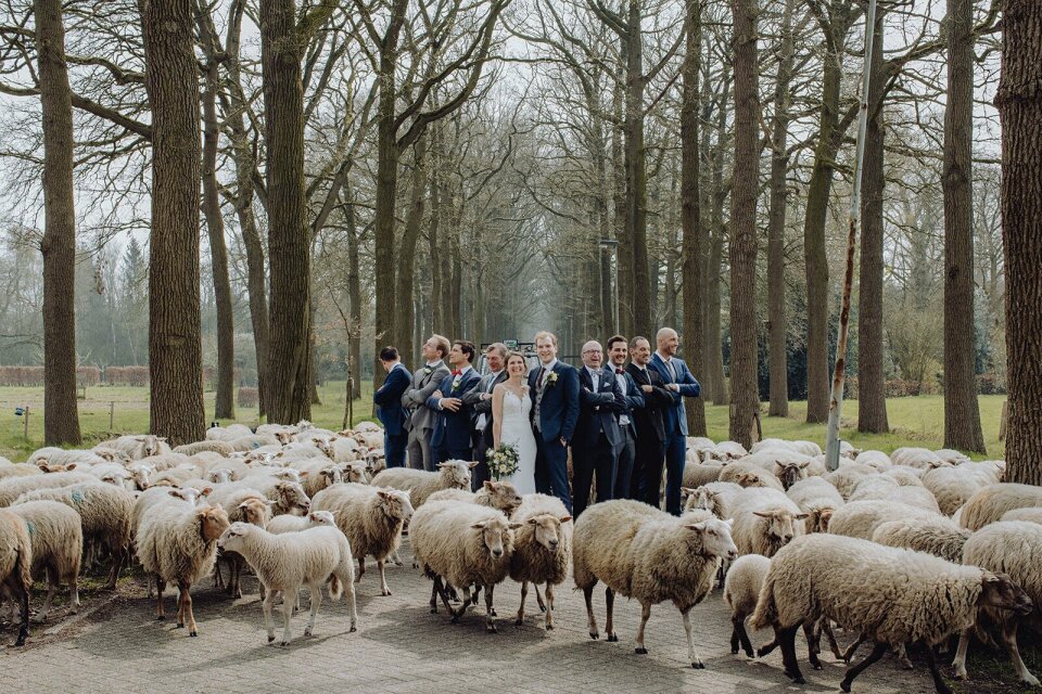 Videograaf LUX Visual Storytellers impressie 3