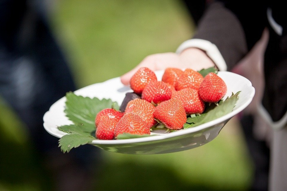 een persoon houdt een bord aardbeien vast op een grasveld
