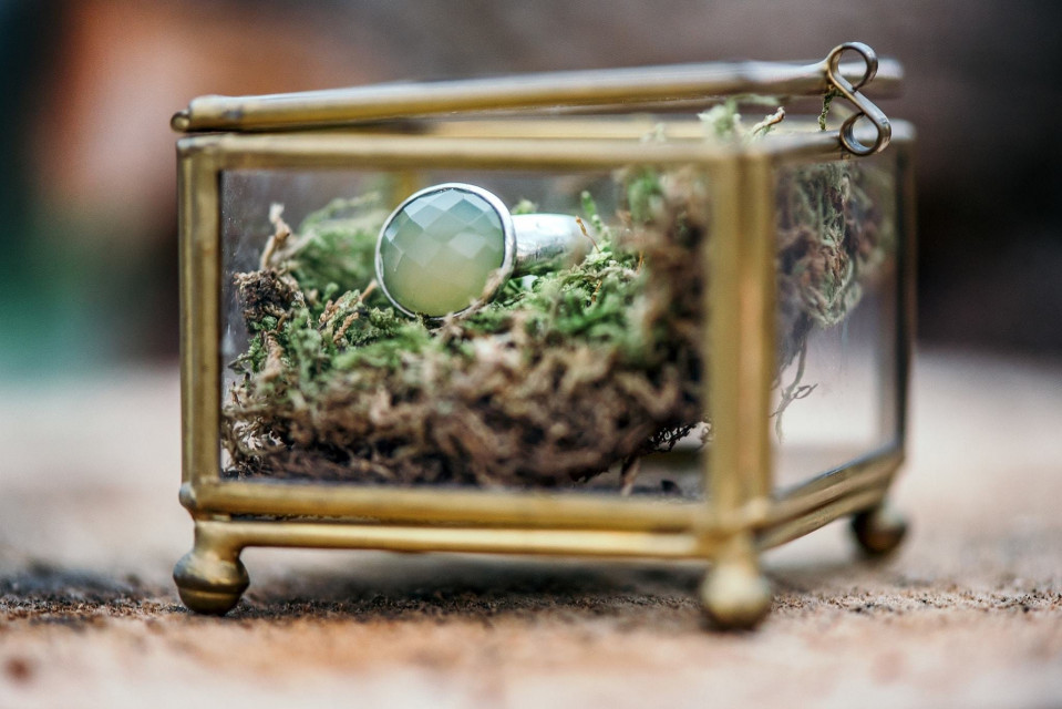 een ring in een glazen doos met mos erop