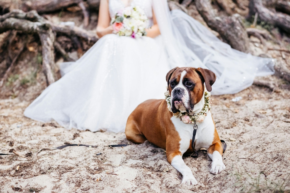 Weddingplanner With Love, Angela Hochzeit Hundesitterin impressie 