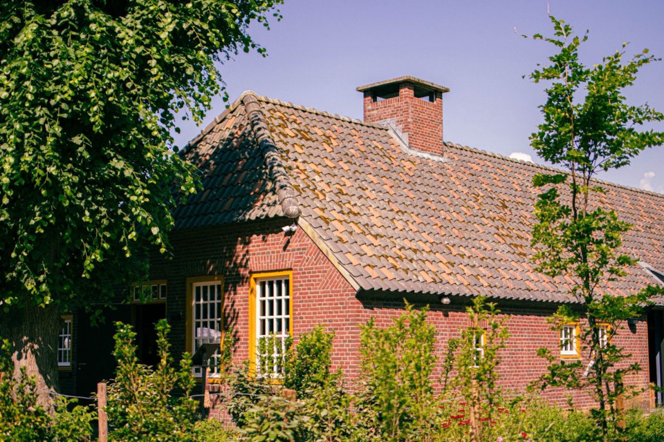 De Schaapjes Haaren